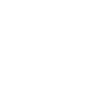 Bird Icon